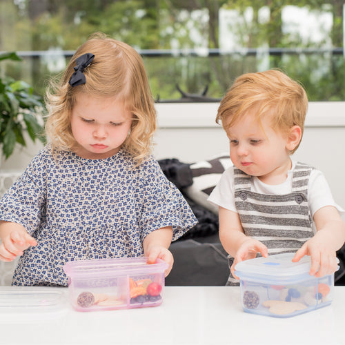 Silicone Leak Proof Food Container - 2 Compartment Lunchbox (900ml)