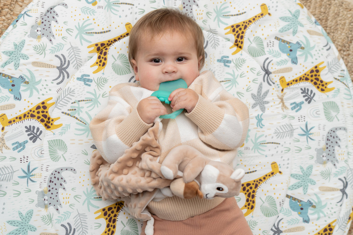 Comfort & Soothe Baby